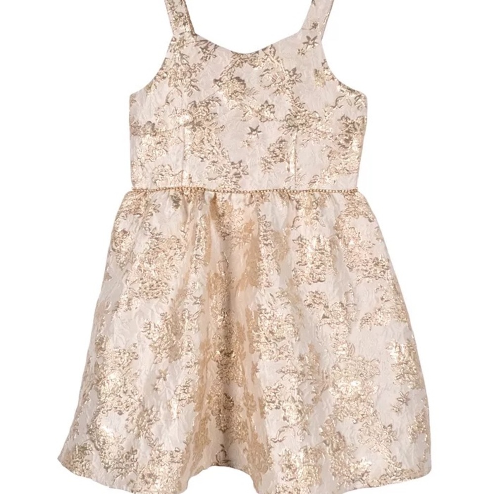 Pink & Violet Big Girls Metallic Brocade Dress